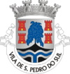 Certificado Energético São Pedro do Sul